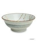 bol japonais ramen hanahasakura en porcelaine