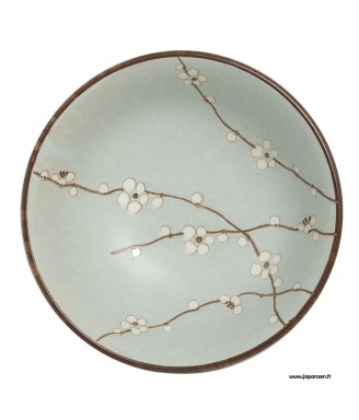 bol japonais ramen hanahasakura en porcelaine