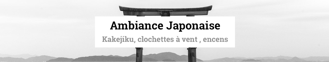 Mettez vous à l'ambiance Japonaise| Boutique japonaise