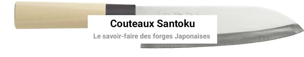 JAPANZEN - Couteaux chef santoku et gyuto Made in Japan| boutique japonaise